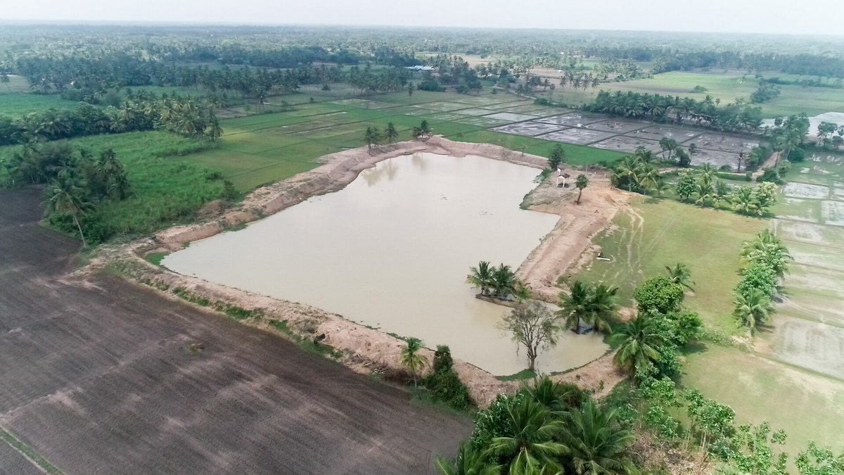 A New Amrit Sarovar to commence 2023🙂 
Athikulam pond measuring 3.2 acres in Anukampattu Panchayat of Kurinjipadi block in Cuddalore is desilted and rejuvenated in association with <a href="/MyIndianBank/">Indian Bank</a> 
50 more water bodies will be rejuvenated as #AmritSarovars
<a href="/MRKPanneer/">MRK.Panneerselvam</a> <a href="/news7tamil/">News7 Tamil</a>