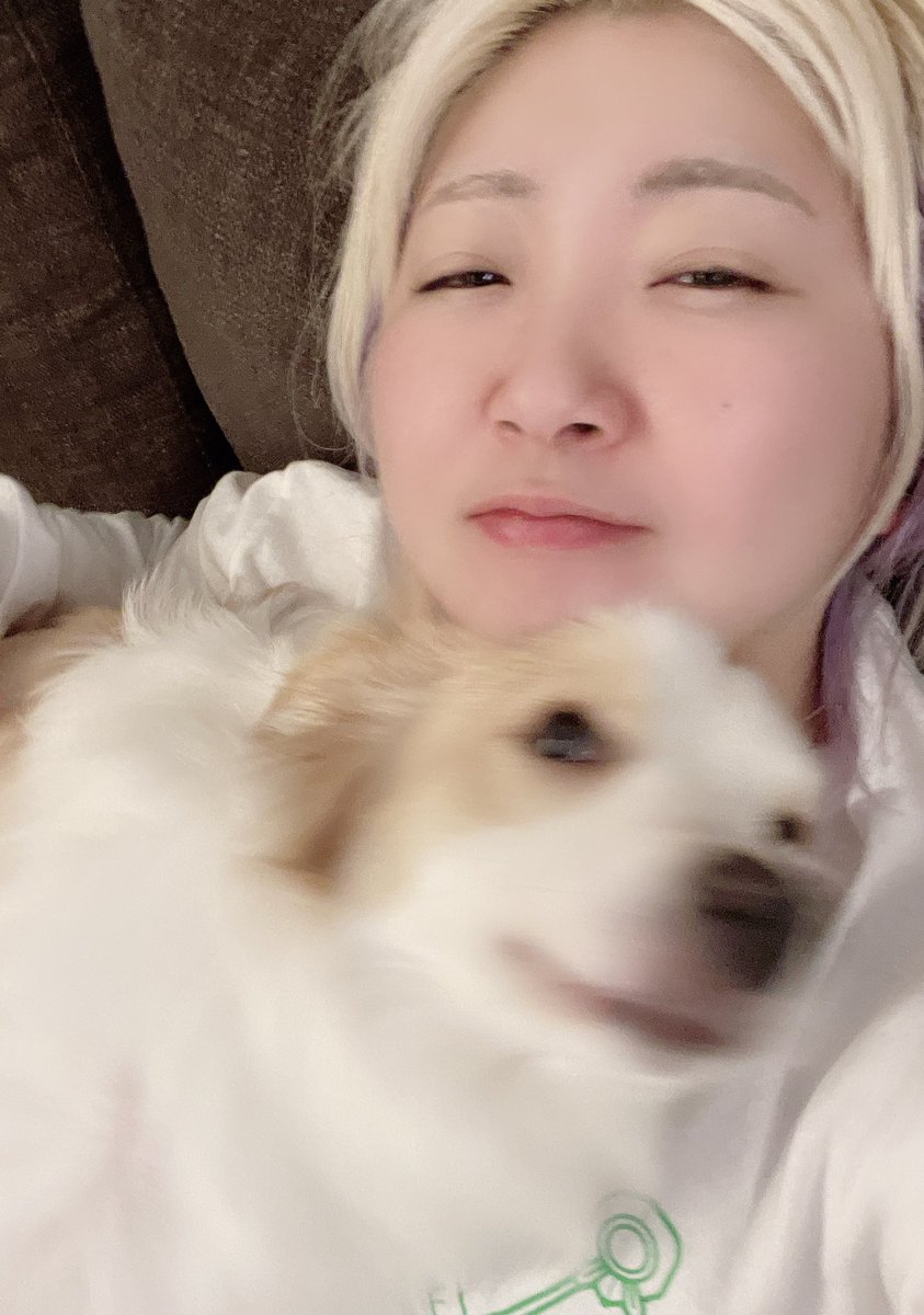 犬吸い
はじめました。

からのお礼の
アゴめがけてのローリンググリグリ。

荒ぶって撮れやしない🤣