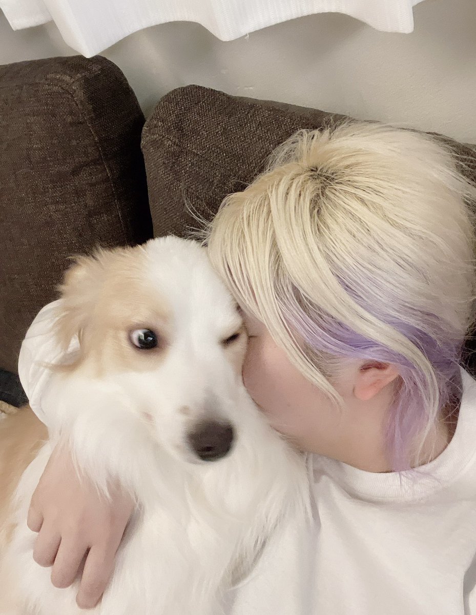 MIKL396's tweet photo. 犬吸い
はじめました。

からのお礼の
アゴめがけてのローリンググリグリ。

荒ぶって撮れやしない🤣 https://t.co/QizckygXIA