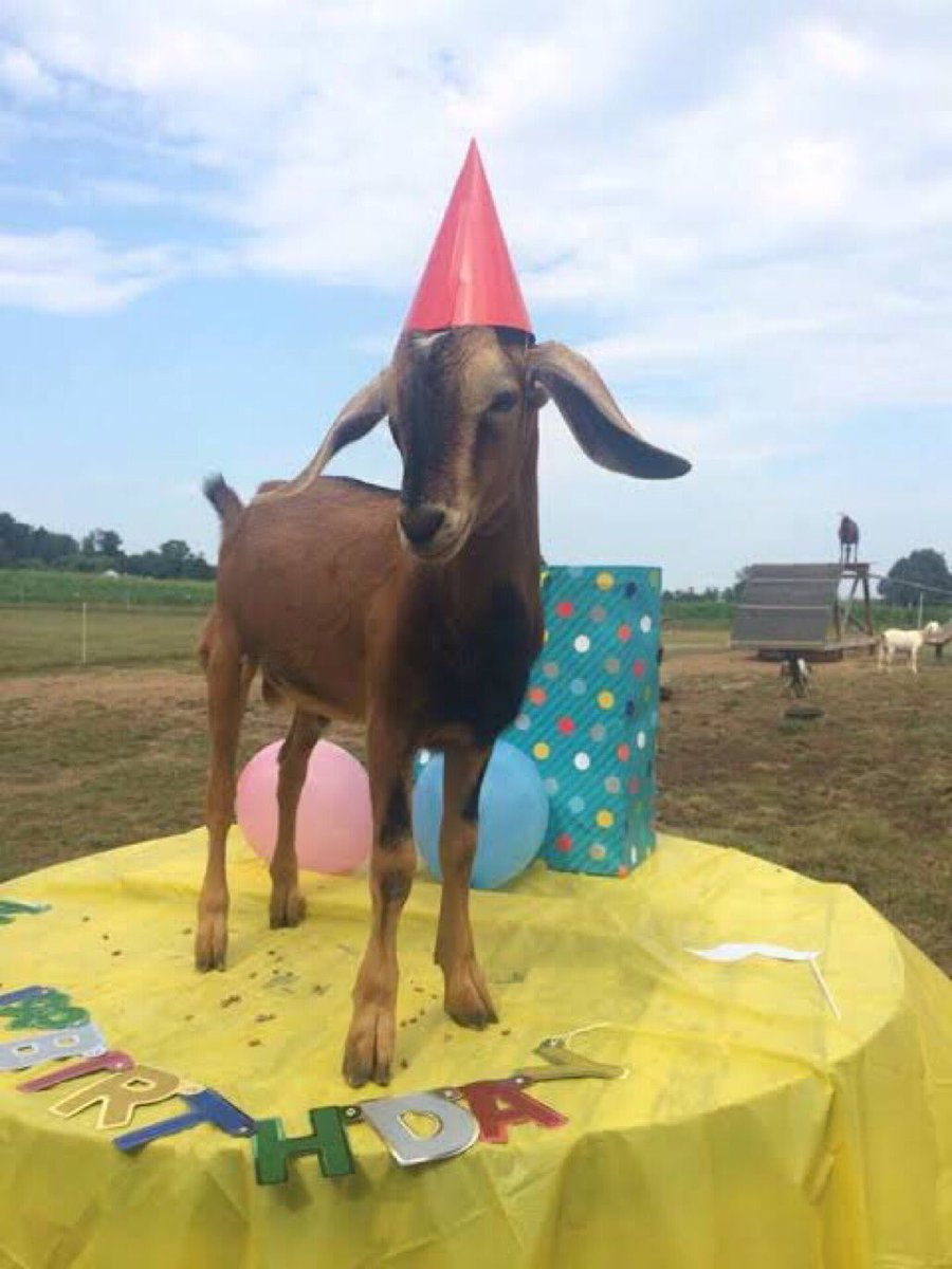 RT @formullana: Leaked picture of Lewis Hamilton celebrating his 38th birthday! https://t.co/tqyZ7F5bMe