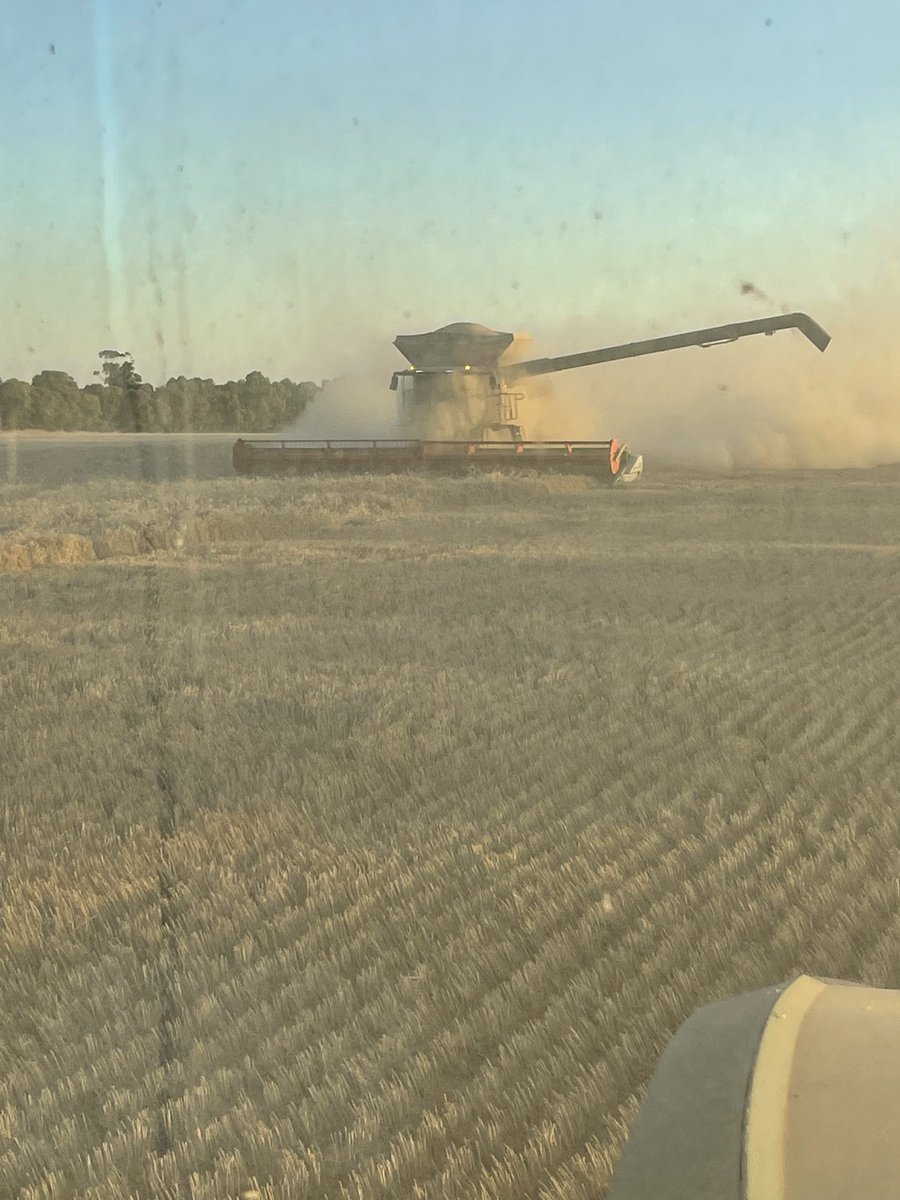 Don’t think I’ve ever seen it so dusty and still at the same time. Looks like the fog rolling in <a href="/drum_craig/">Craig Drum</a> <a href="/wdjmercer/">Willy Mercer</a> <a href="/bjbatman/">furnerfarms</a> <a href="/Albeveridge1/">Alister Beveridge</a>