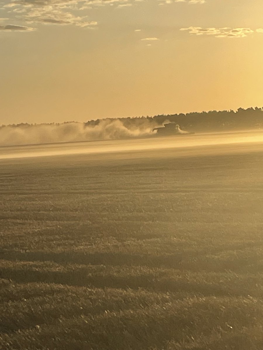 JamesGubbins8's tweet photo. Don’t think I’ve ever seen it so dusty and still at the same time. Looks like the fog rolling in @drum_craig @wdjmercer @bjbatman @Albeveridge1 https://t.co/Aa9osbXgE8
