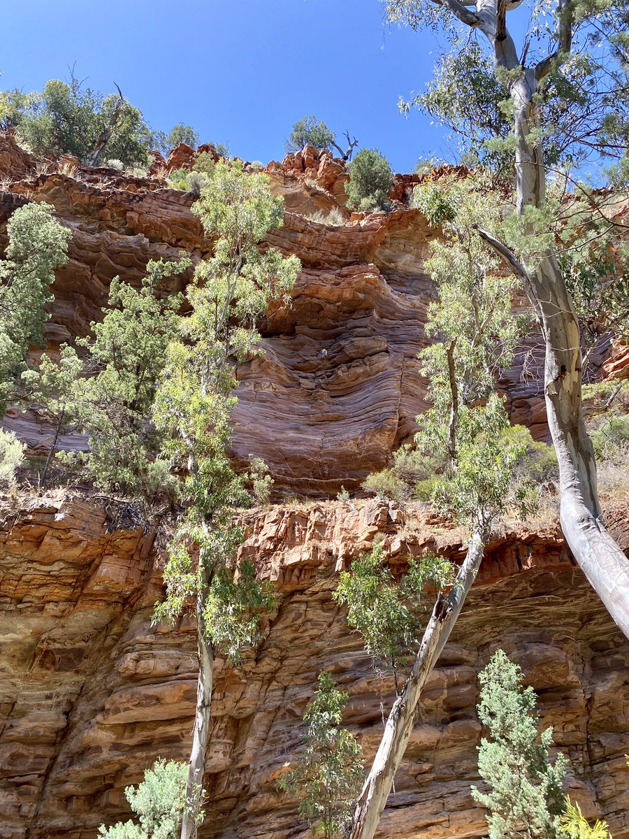A short road trip to celebrate my thesis submission ft. Mt Remarkable NP and Lake Bumbunga 🥾⛺️🚙🥂🍾