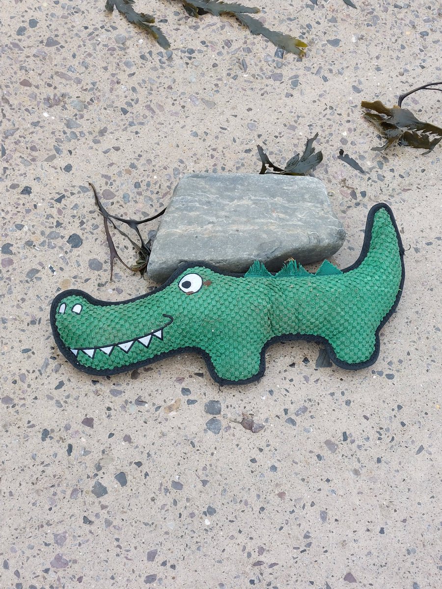 Luke O'Byrne tweet media