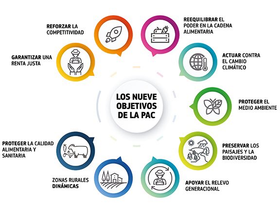 1/ Año Nuevo, PAC Nueva 📅🆕👨‍🌾

¡Hola a todos! Aprovechando que estrenamos año nuevo, quiero abrir un hilo con los puntos clave sobre la nueva PAC 2023 -2027 y cómo afectará a la industria agrícola en Europa.

#PAC2023 #agricultura