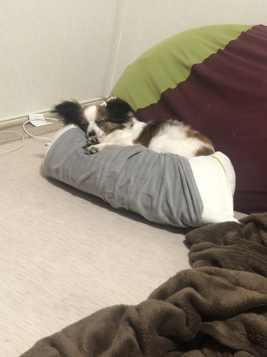 Yugo_0406's tweet photo. 最近インスタよりTwitterの方がおもろい😊 https://t.co/kq03g4gxbx