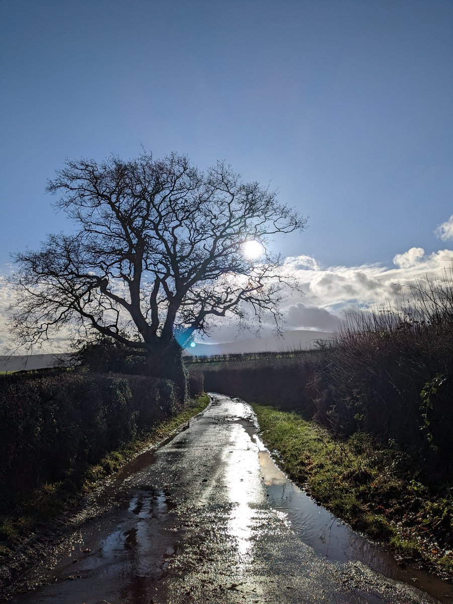 House cross country running today, view from the top marshall point (accessed by bike). It's a bit damp.