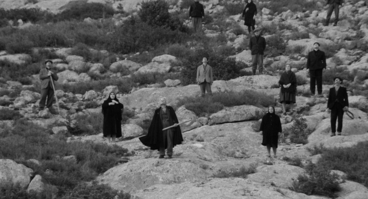 Prano Bailey-Bond on Twitter: