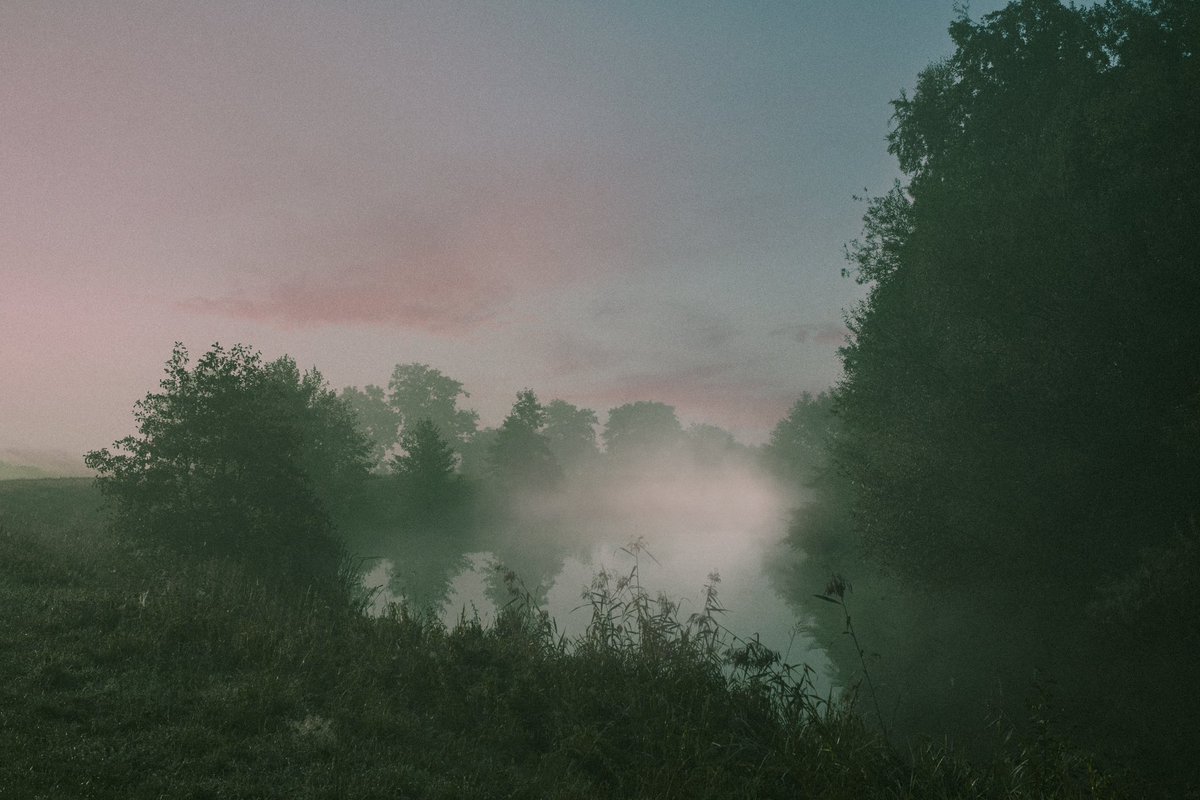 Thimo mit h | EDITION 3/17 tweet media