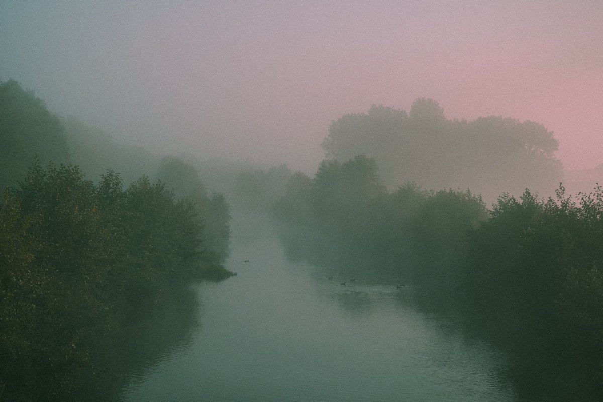 Thimo mit h | EDITION 3/17 tweet media