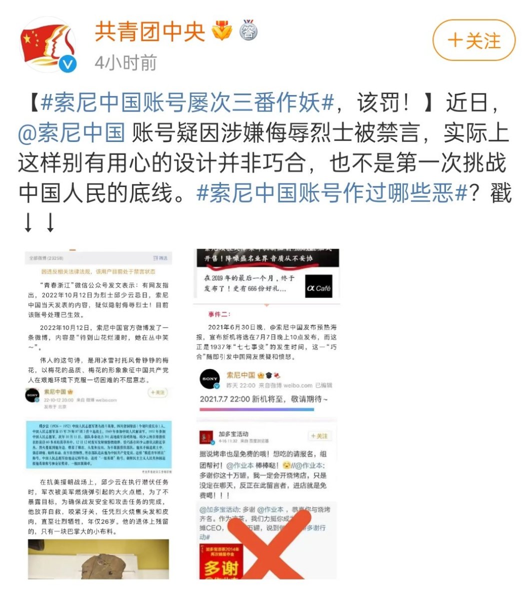 李老师不是你老师on Twitter: "共青团中央点名批评索尼中国挑战中国  image
