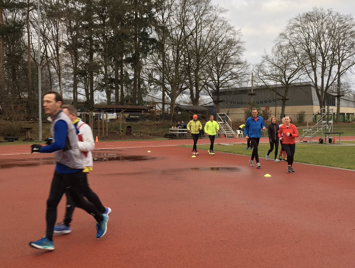 Ann M. Conefrey tweet media