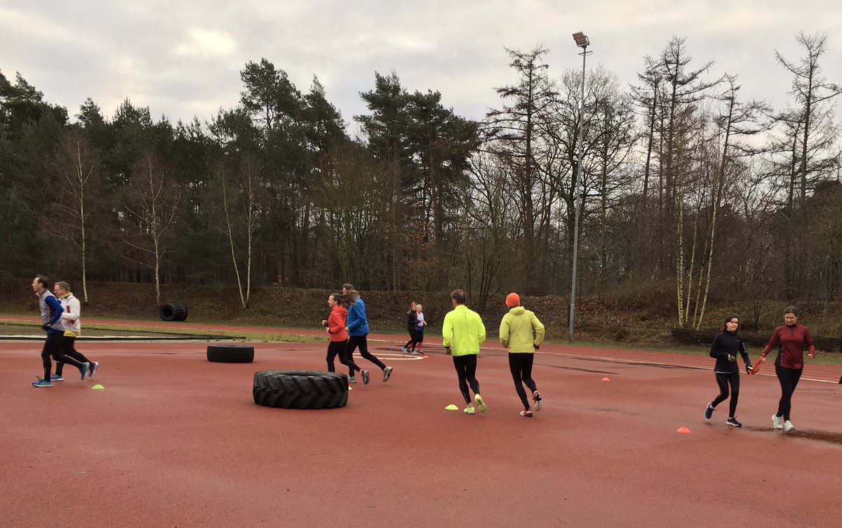 Ann M. Conefrey tweet media