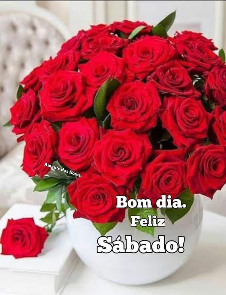 Simone Anjos (@simonea31699305) on Twitter photo 