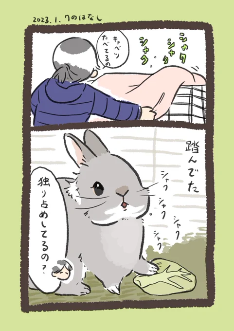 音だけで可愛い

#うさぎのいる生活 