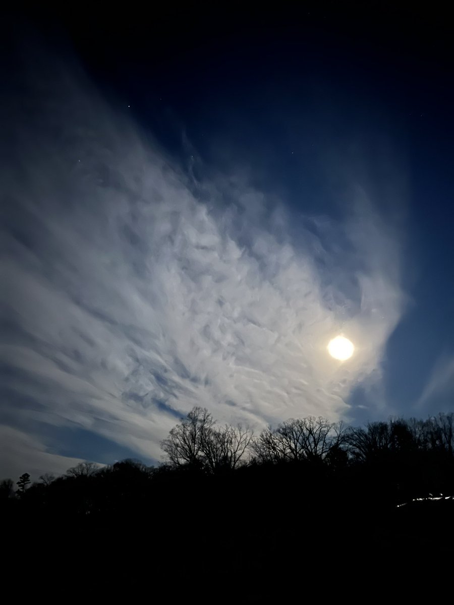 Peanut Coleman on Twitter "Someone left the nightlight on"