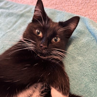 mistymustard's tweet photo. #NewProfilePic https://t.co/rKpi7nkyWT