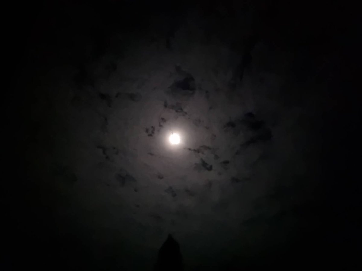 ไบ มีครอบครัว ลับๆ คุยกัน ชอบอายุ35ขึ้นไป tweet media