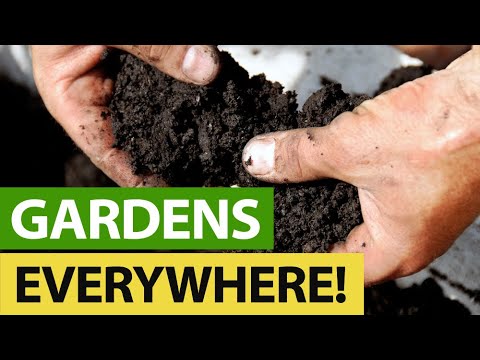 AllForGardening's tweet image. Warning For All The New First Time ...
 
#EconomyGardens #FirstTimeGardeners #GardenPests #GardenSupplies
 
allforgardening.com/386950/warning…