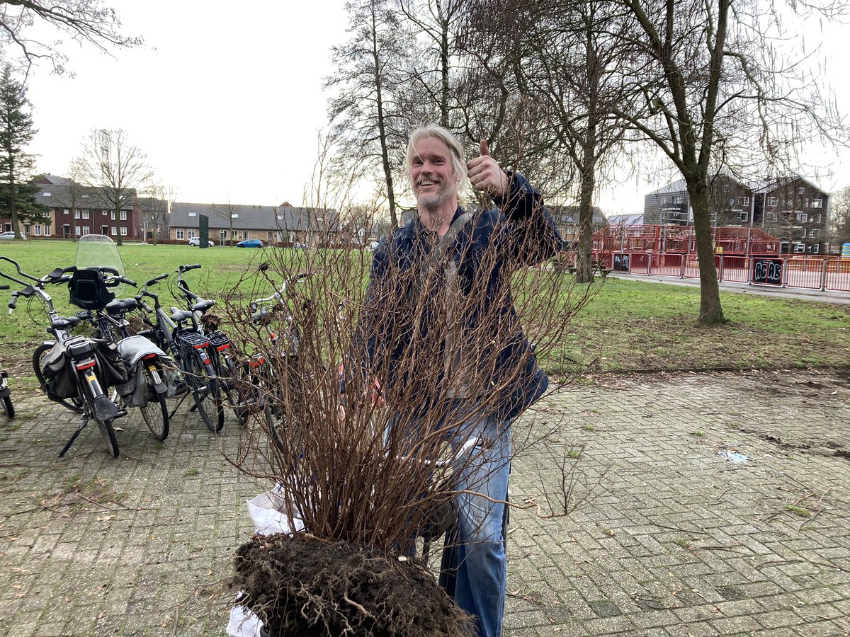 carmen1973's tweet photo. Wat wordt er weer veel geroofd vandaag! #struikroven https://t.co/VmuRoD5NP6