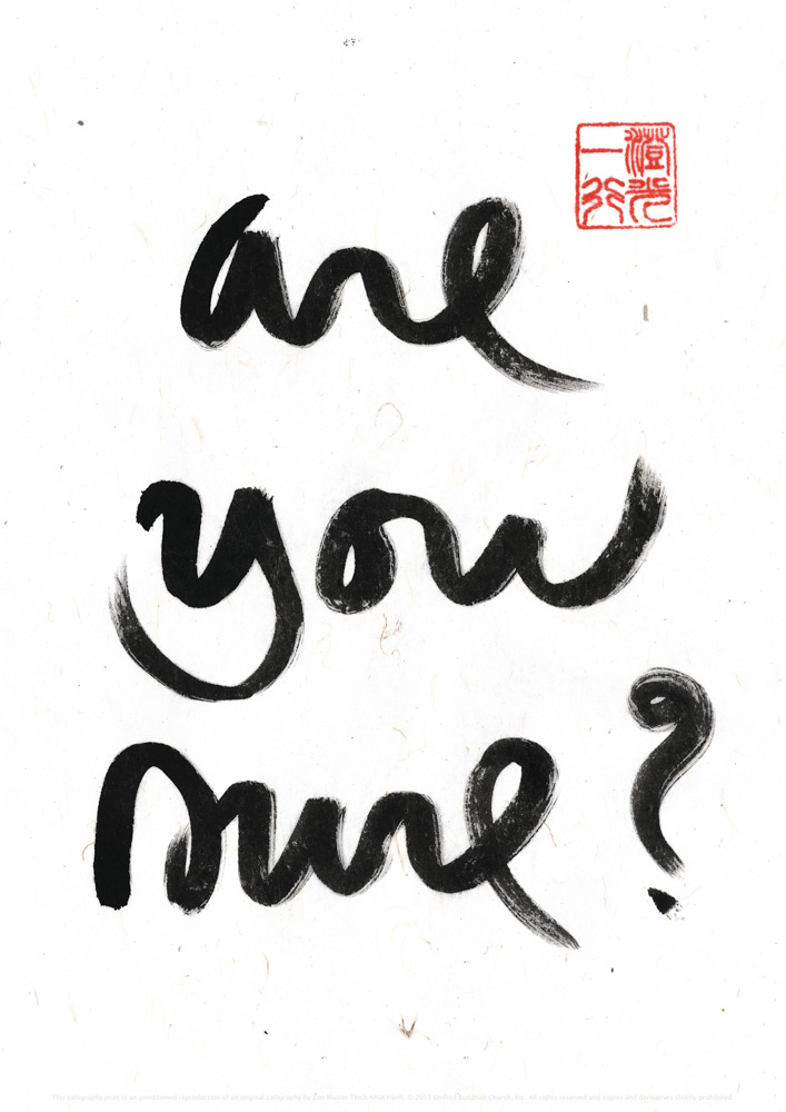 mindfulness of consuming news means patiently reading the small print behind the strong emotions + reaching your own conclusions.
in the fog + confusion around the prince harry + meghan stories it's not easy to guard your mind from the collective consciousness