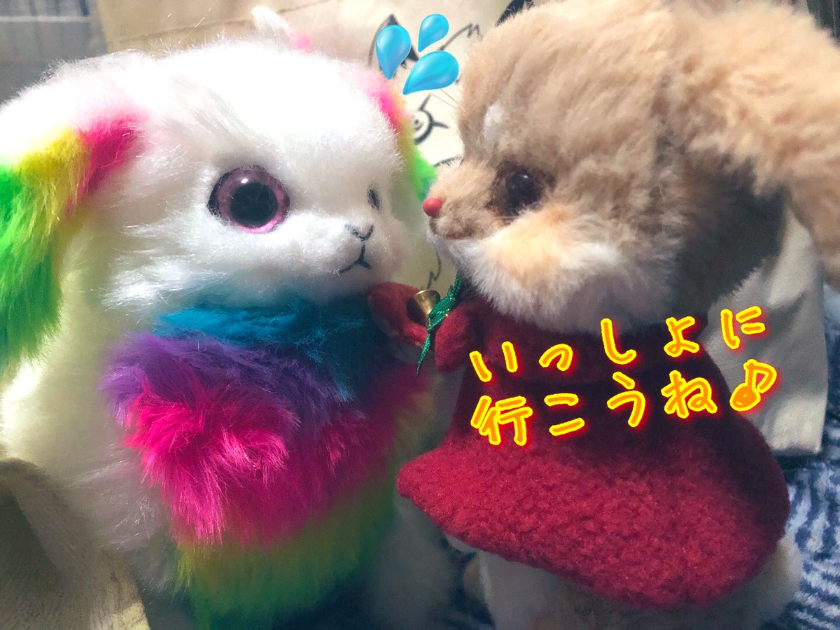 10_tsukiyo's tweet photo. イーリスちゃん、ちょっと人見知りだからプレア君にもきてもらお☺️
#bakdoll
#ミモザハイツ https://t.co/QwMfPtlRnr