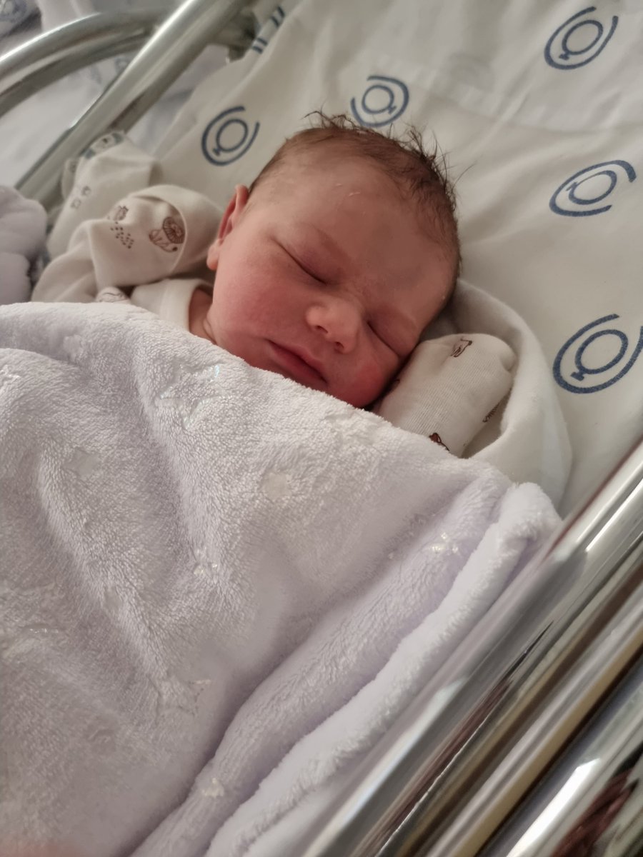 psciarotta's tweet photo. Bom dia, pessoal! 😴
Sabadou? 🍼 https://t.co/8Jvqaj6Kqi