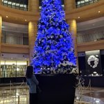 ▶︎▶︎▶︎ 𝙨𝙥𝙞𝙣𝙚𝙡( す ぴ ね る )のツイート画像