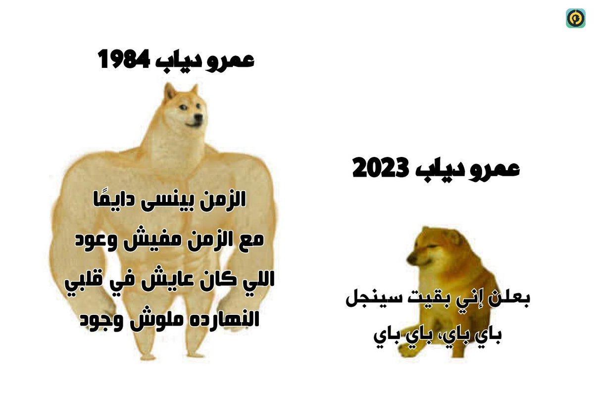 Rahma Ghazy (@rrahmahasan) on Twitter photo 