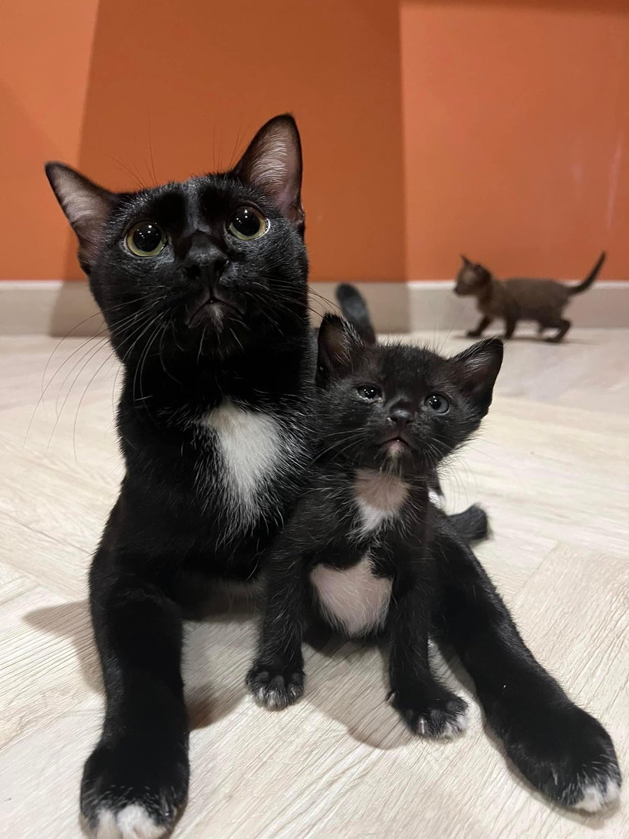 ลูกแกป่ะเนี่ย ใช่แน่ๆ 🤣