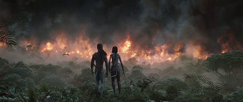 Com'è andato il 2022 in sala in Italia e nel mondo? 

I risultati del box office mondiale evidenziano un meno 35% rispetto alla media del 2017-19. Per gli analisti bisognerà attendere il 2024 per tornare alla normalità pre-pandemica.

Scopri di più👇
news.cinecitta.com/IT/it-it/news/…