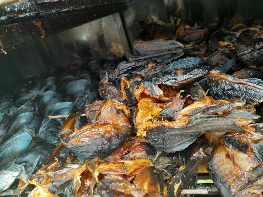 ETA_enterprise's tweet image. Make your Weekend more Exciting with Our Extremely Delicious Dried Catfish!

Every Bite is Mouthwatering! 😋

.
.
.
#DriedFish #Weekend #delicious #enjoyment #osogbo #osun #lagos #madeinlagos #madeinnigeria #healthyfoods #weekendvibes