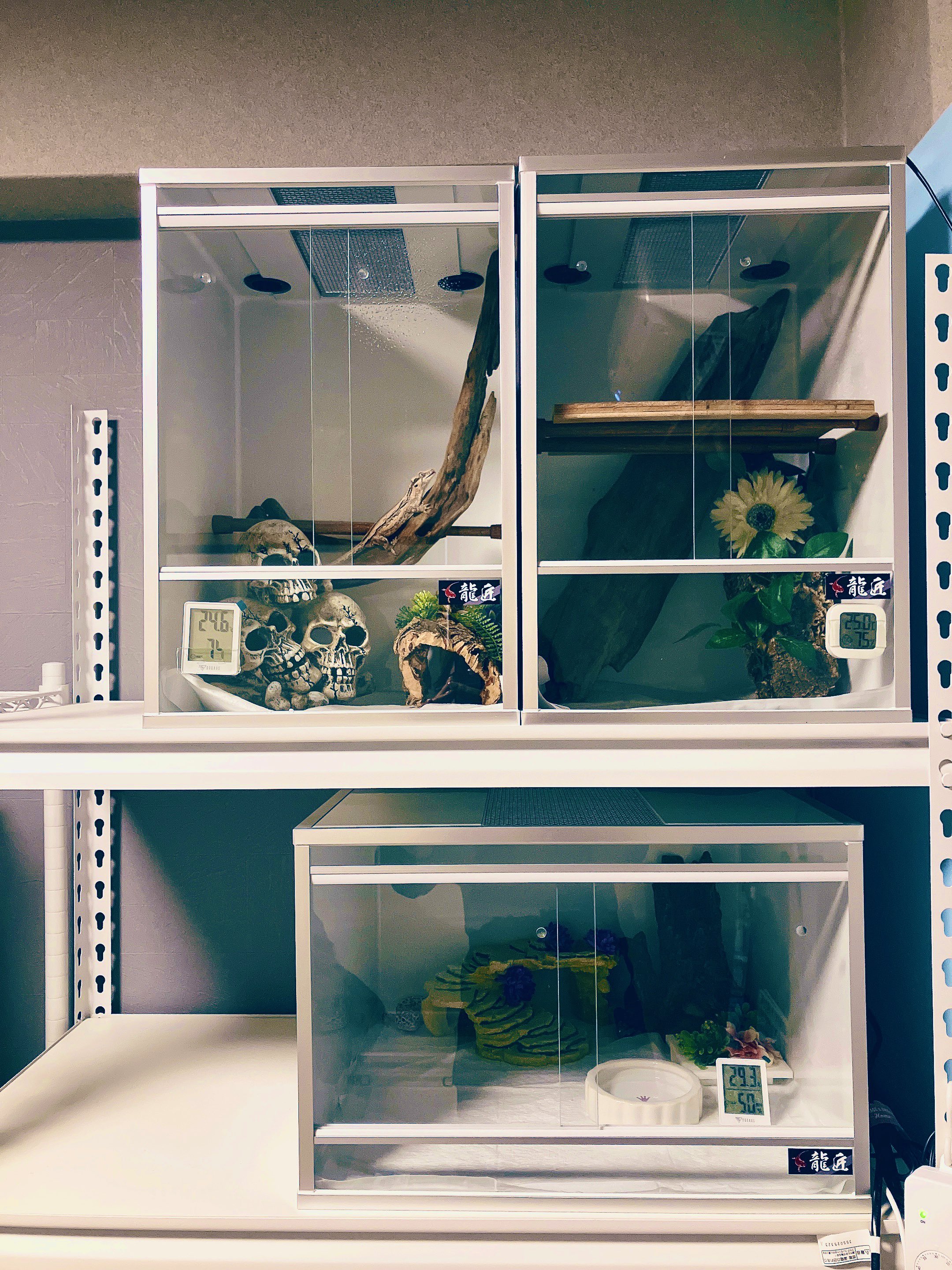 龍匠オリジナルケージ これが限界値下げです。