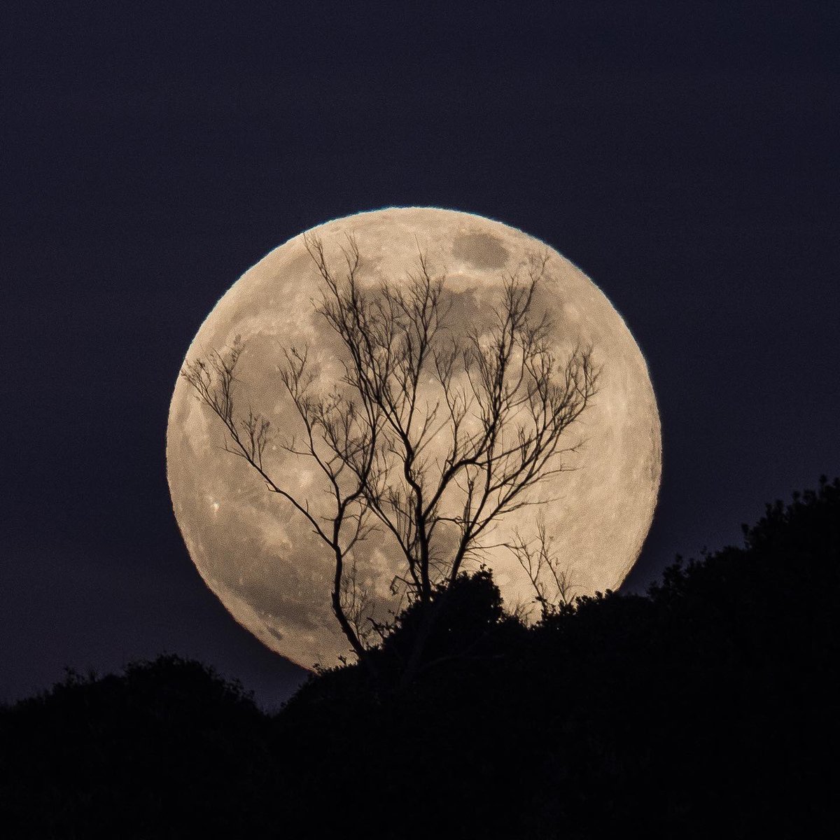 Ilargia opari. #ilbete #fullmoon #lunallena <a href="/geoparkea/">Geoparkea</a>
