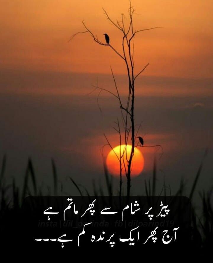 ellish_iam's tweet photo. https://t.co/0TCEtavykw