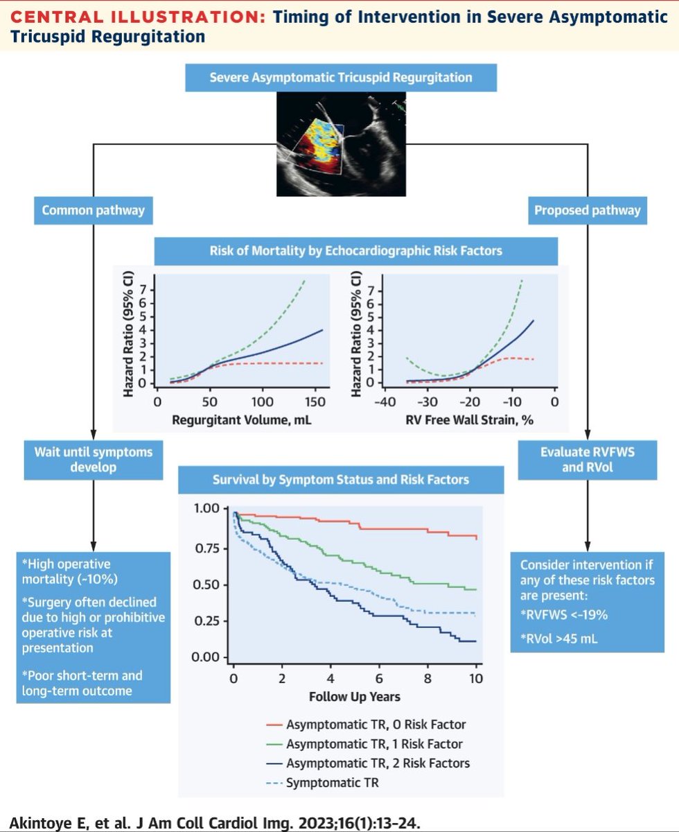 Study by Akintoye et al. Right ventricle free wall strain (RVFWS) + tricuspid regurgitant volume (RVol) were strongest predictors of mortality in asymptomatic TR. The optimal discriminatory thresholds for these parameters were RVFWS &lt;−19% and RVol &gt;45 mL.
jacc.org/doi/abs/10.101…