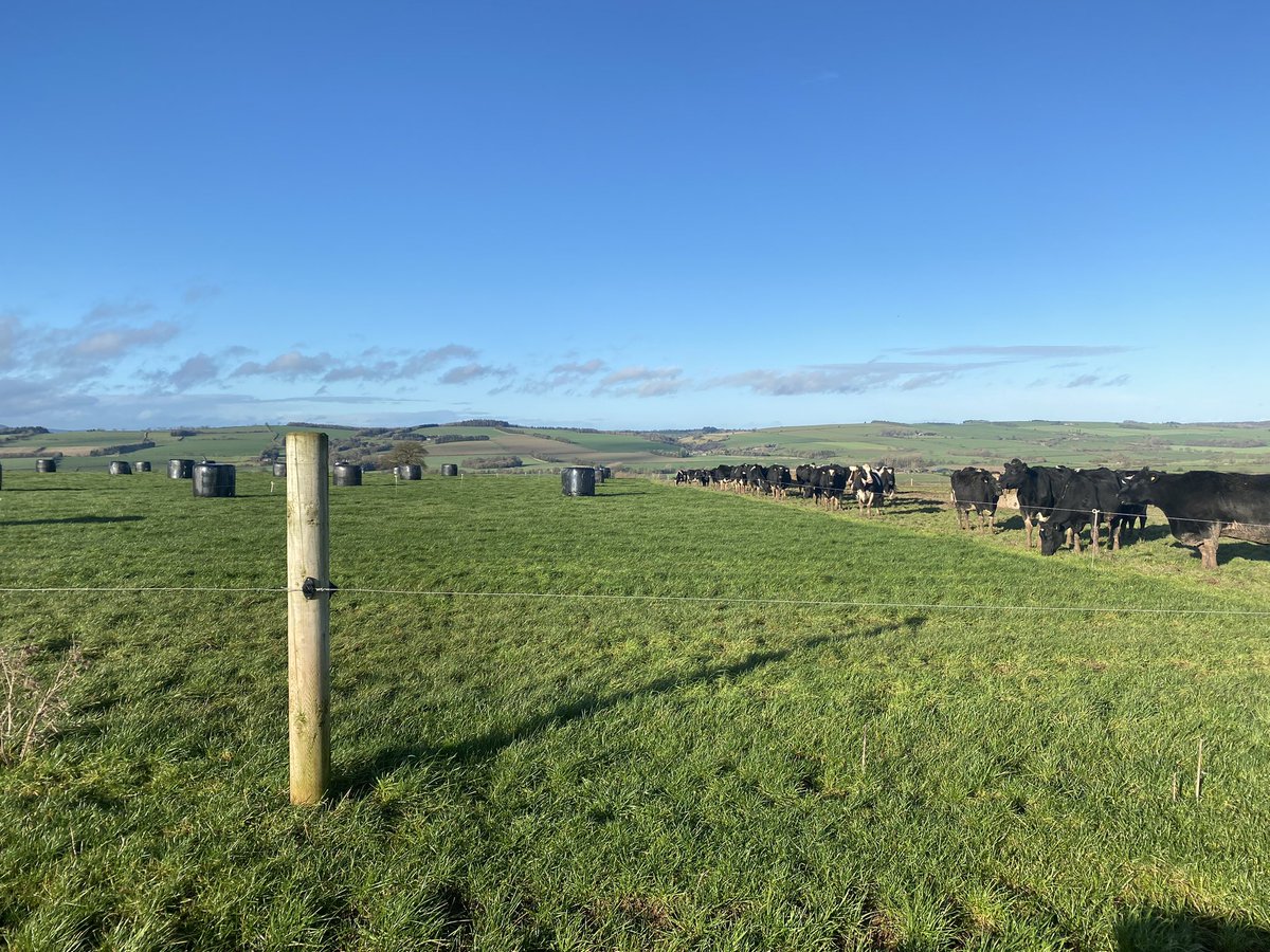 norgeian ๐ณ๐ด ๐ฌ๐ง tweet media