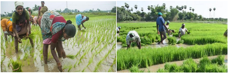 EU Can Aid tweet media