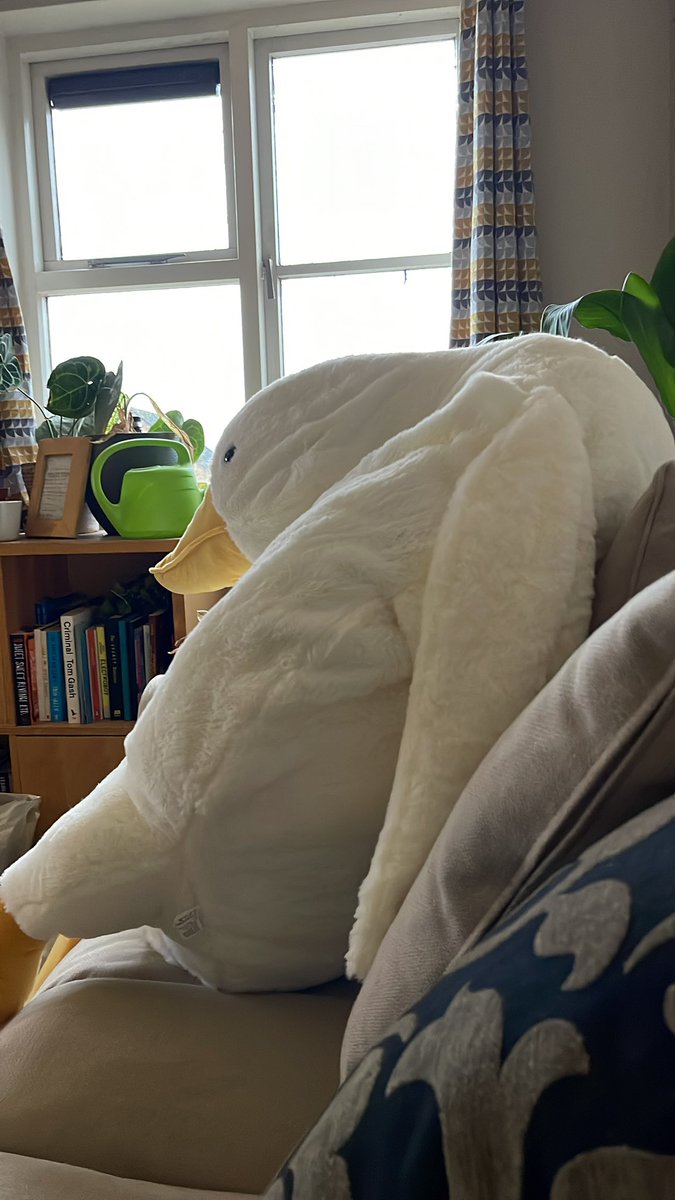 Nick on Twitter "This is what happens when I make COVID fever induced