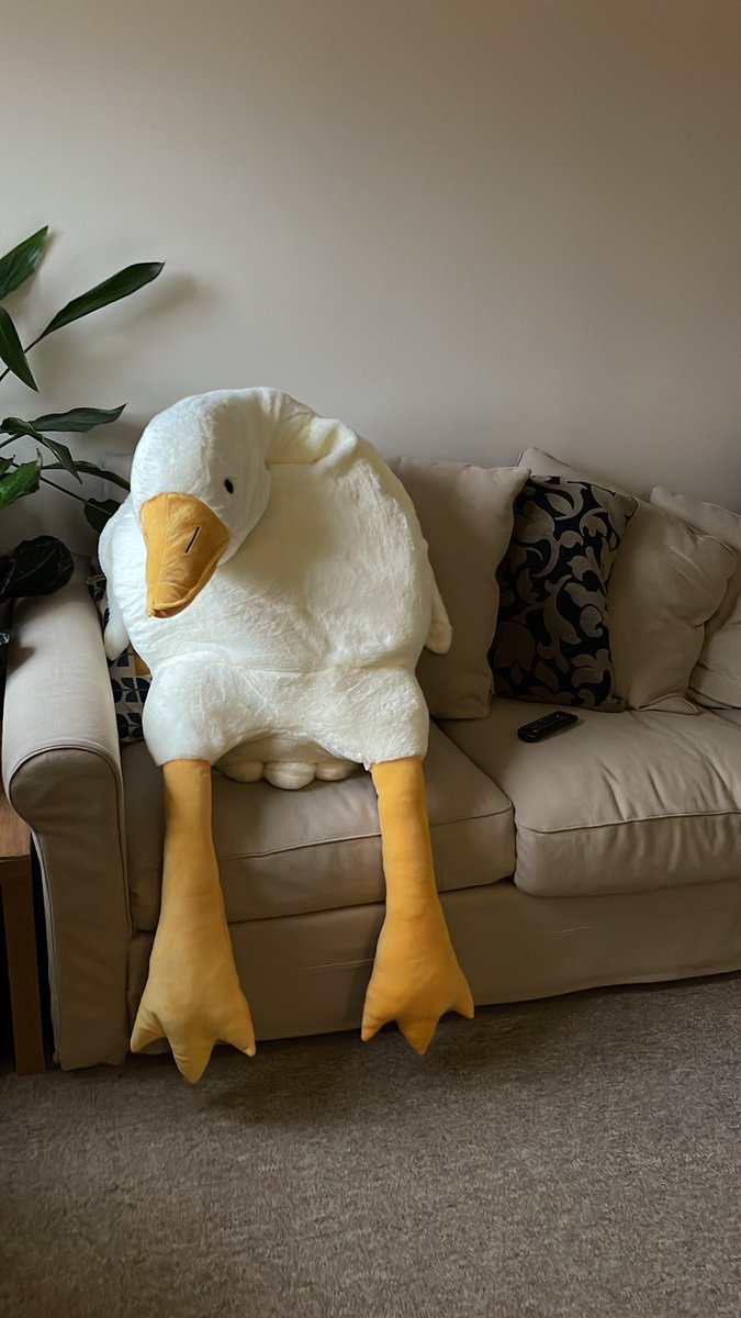 Nick on Twitter "This is what happens when I make COVID fever induced