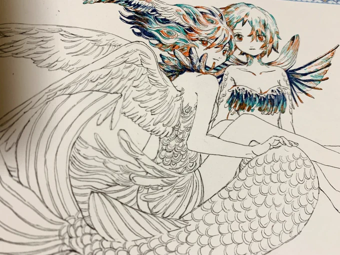 ちまちま
人魚と鳥人 
