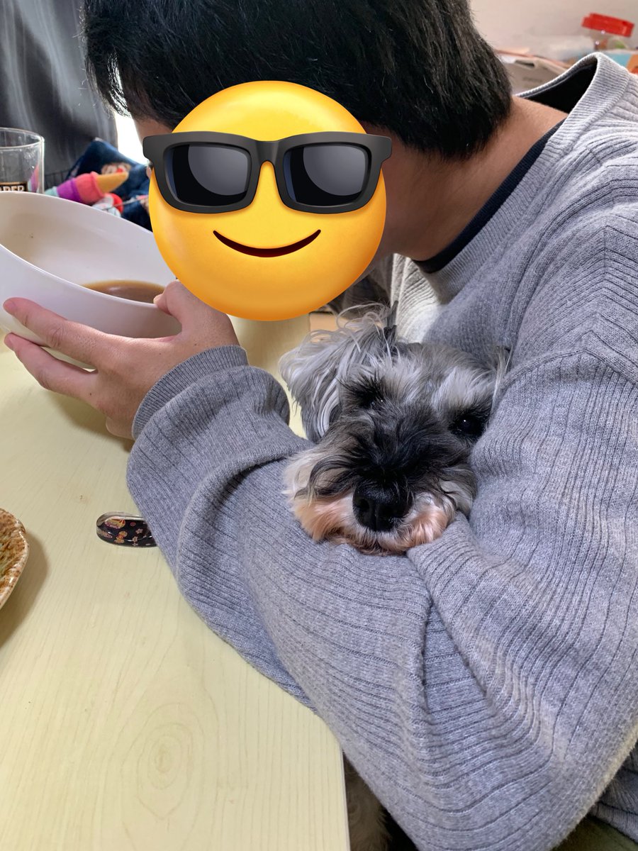 毎日可愛すぎるちゃん。
ちょびっと歳で筋肉が落ちてきたのでお散歩の距離を少し増やして頑張ってます💪