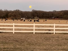 Obedmose3's tweet photo. spann not a bad evening in Central Texas https://t.co/9s5QvrKtCJ