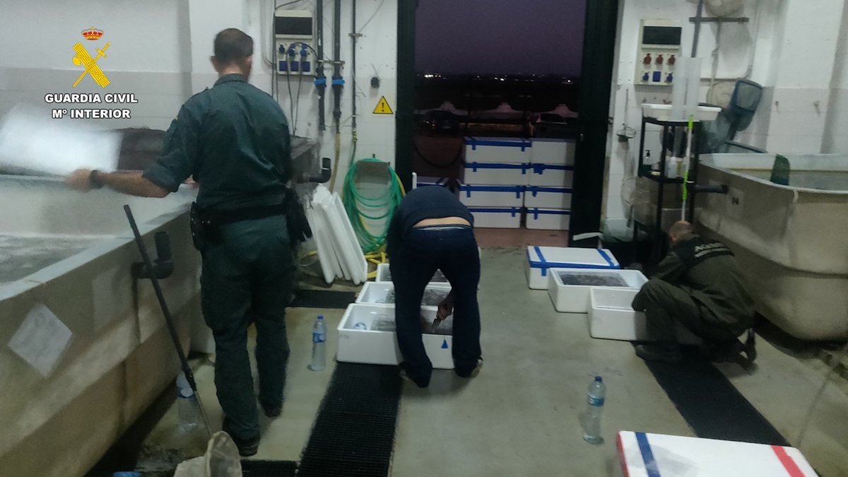 | #sóloactualidad |
🔺La Guardia Civil interviene más de 190 kilos de angula en el Puerto de Algeciras
🔗soloactualidad.es/la-guardia-civ…
#sucesos #PuertodeAlgeciras