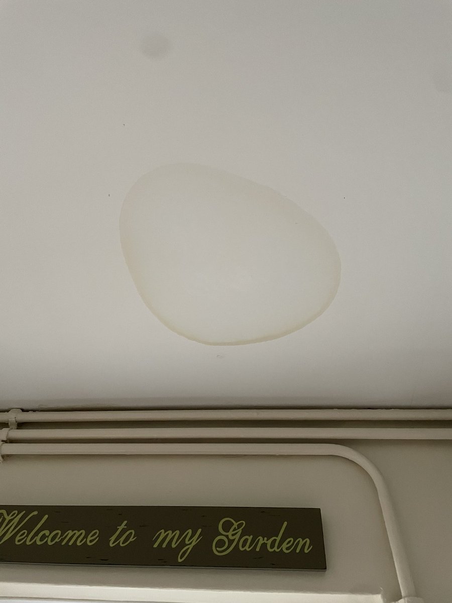 Louise Brown tweet media