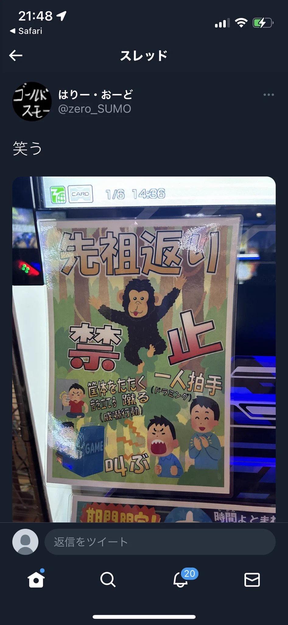 @zero_SUMO Twitterあんま使わないんですがプロモってツイートの内容に沿ったものが出るんですか？ 