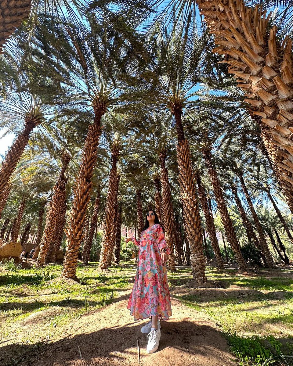 VisitSaudi's tweet photo. Uncover the mysteries of AlUla's ancient past—where rich culture and natural beauty blend together in one fascinating desert setting.
📸 by @safarnamabynidhi
#VisitSaudi #Tourism #Travel #AlUla #Culture #InArabia #WelcomeToArabia https://t.co/1xyLZLAcgg