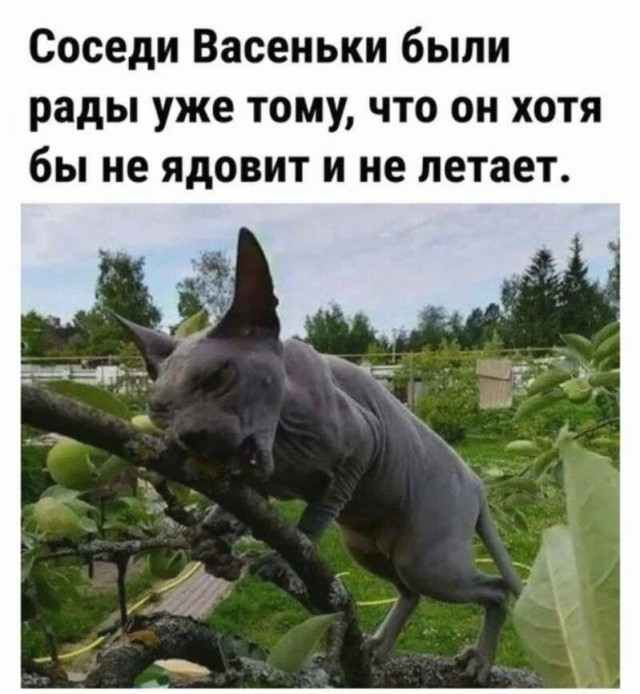 Какая прелесть)