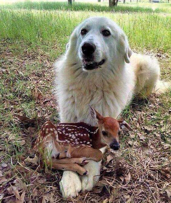 So cute 😍😍