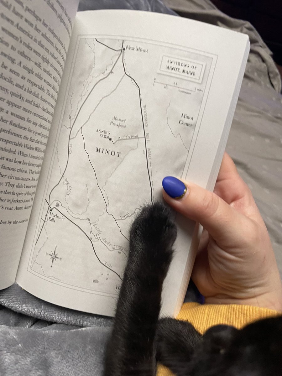 Gator Kitten tweet media
